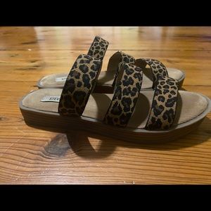 Steve Madden cheetah sandals